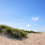 Wattlaeufer *